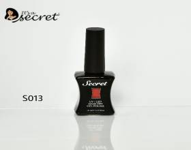 Secret Gel Polish S013