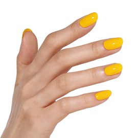 sunflower-glow-2